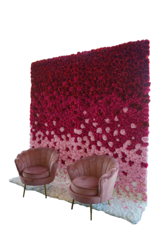 Ombre Rose Wall