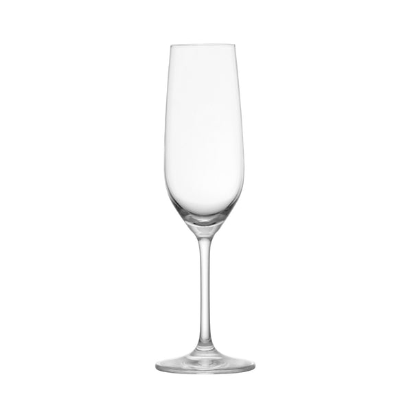 Forte Champagne Flute 7oz Glass